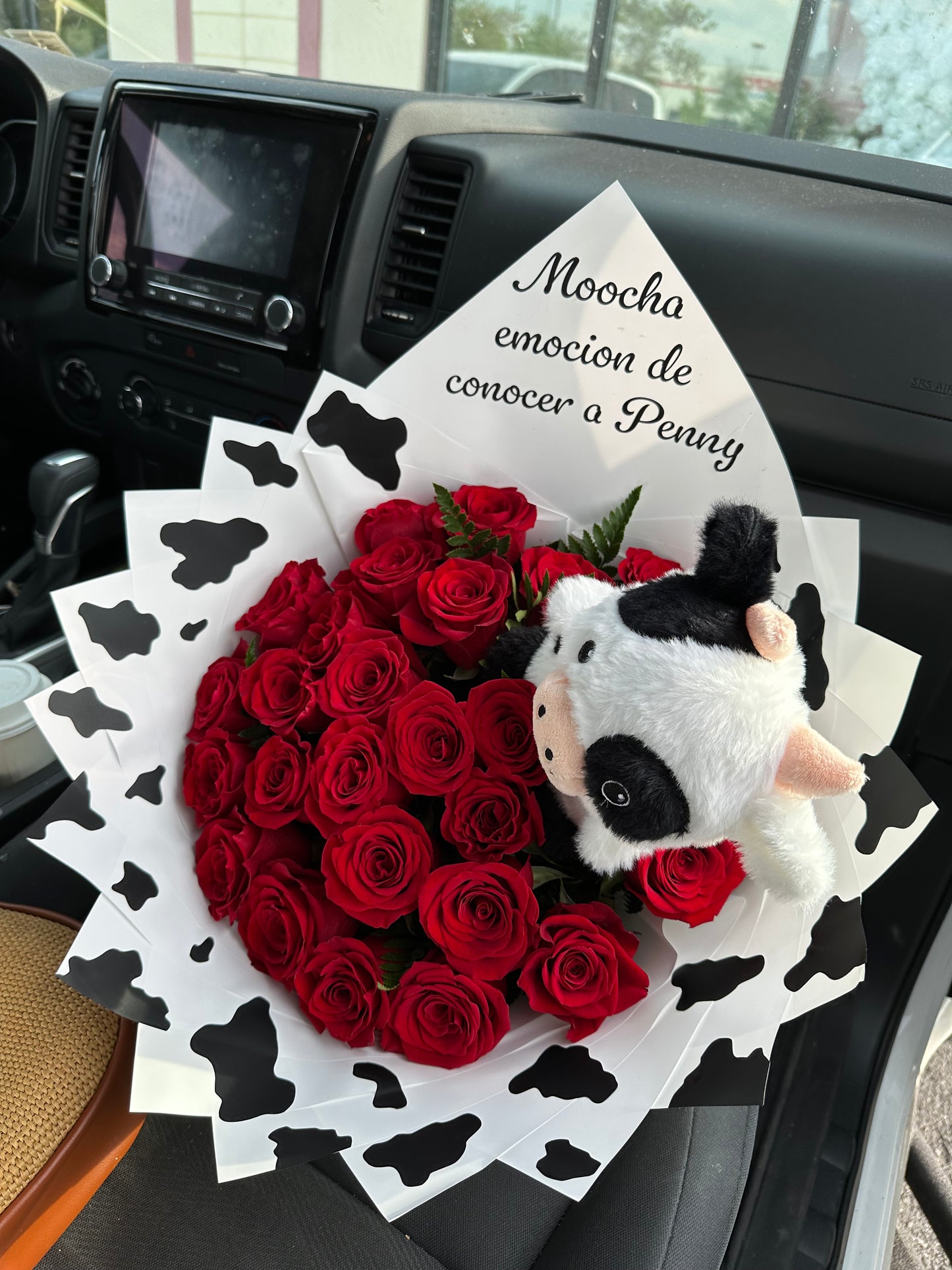 25 Red Roses Vaquita Bouquet