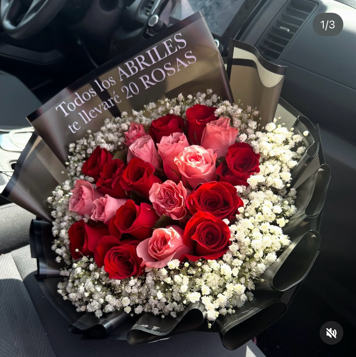 20 Rosas y Nube